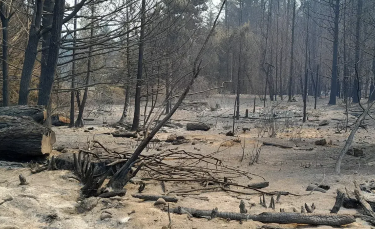 Emergencia ígnea en Río Negro